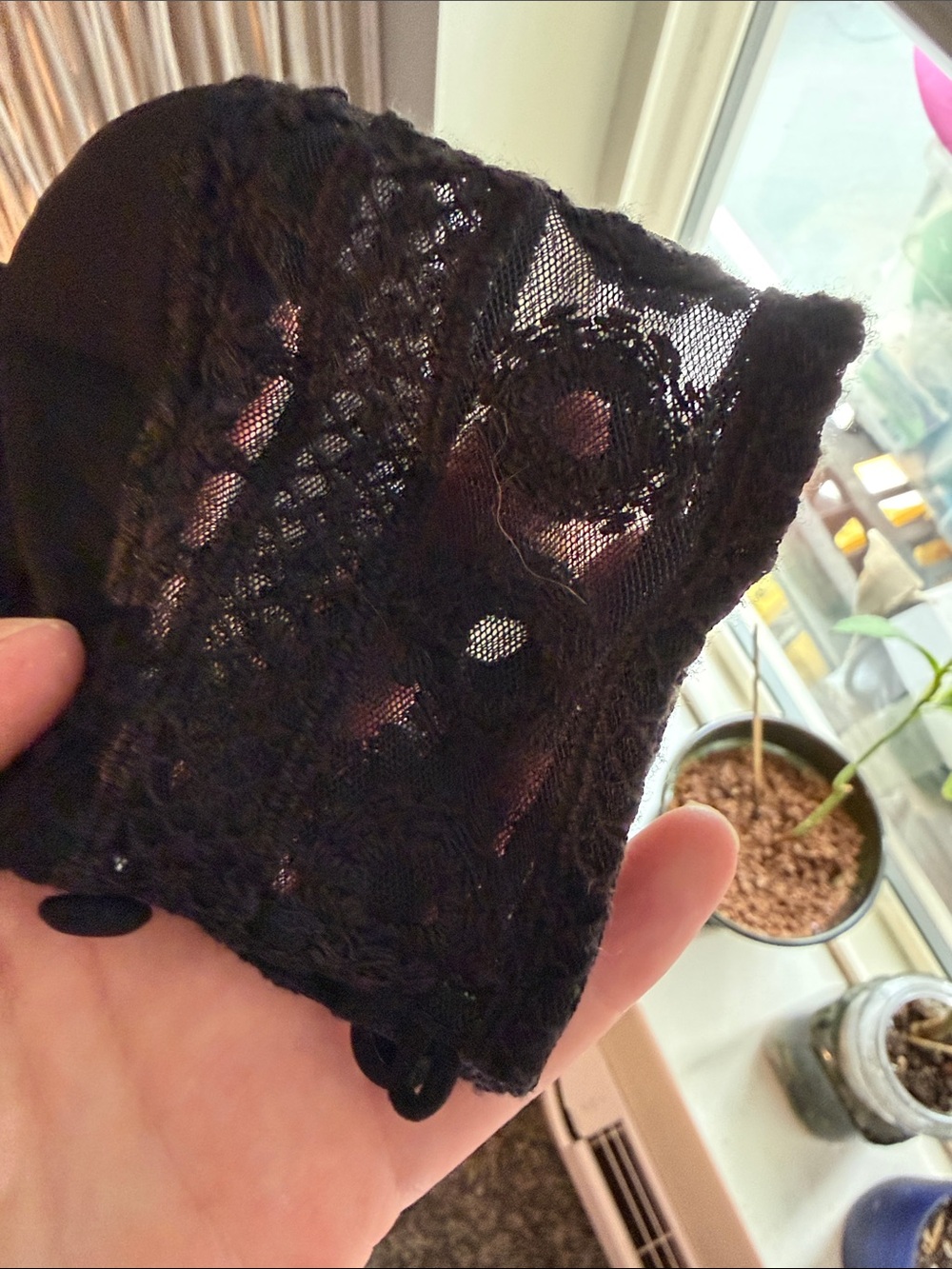 Ya Los Angeles Black Lace Yoke Long Sleeve Dress - Picture 7 of 8